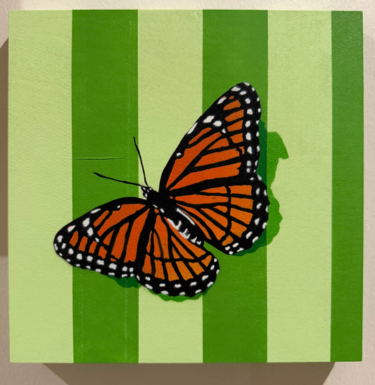 Butterfly Medley