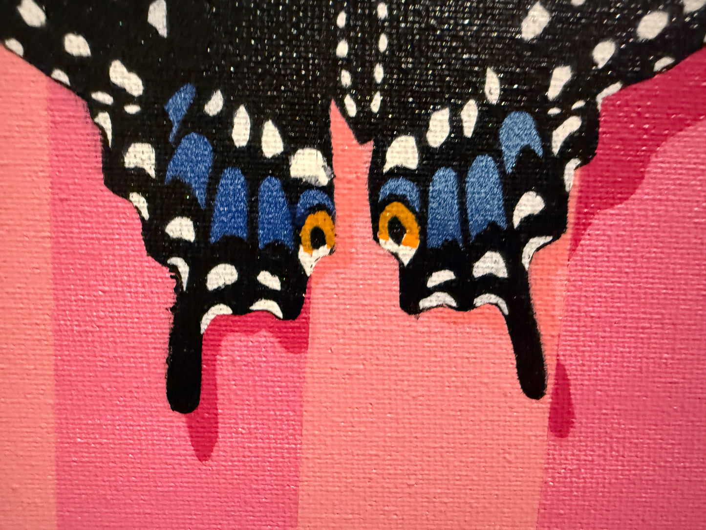 Black Swallowtail