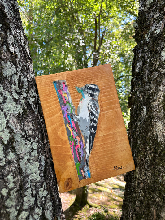 Woodpecker Peckin Wood