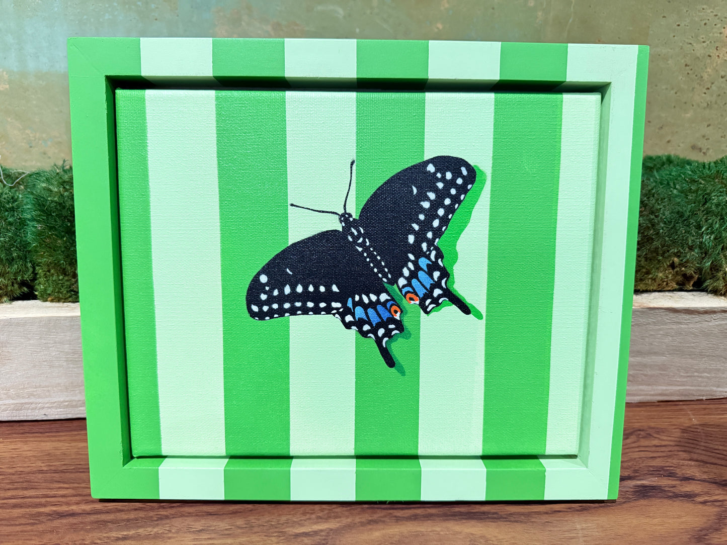 Black Swallowtail