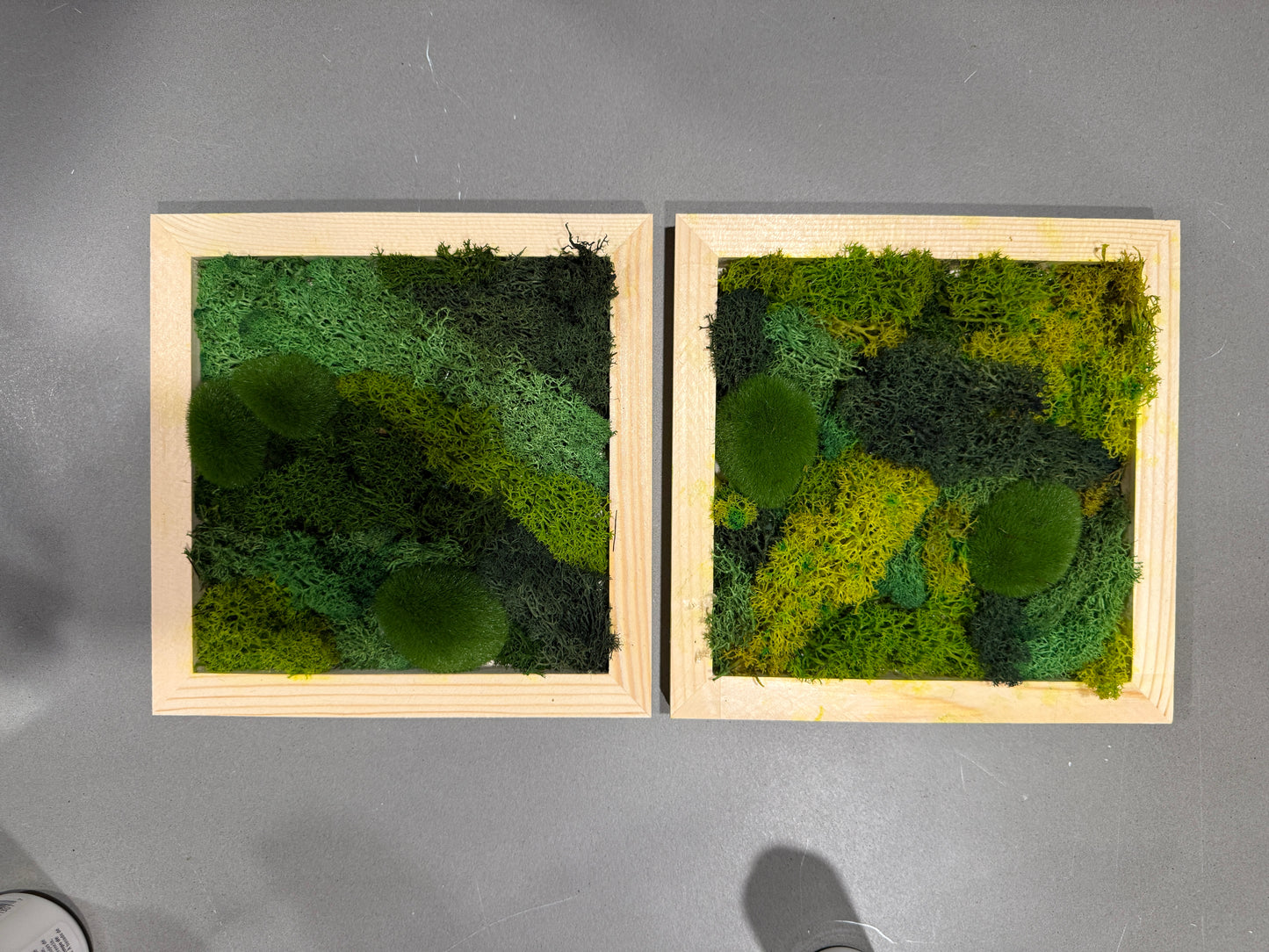 Moss Garden