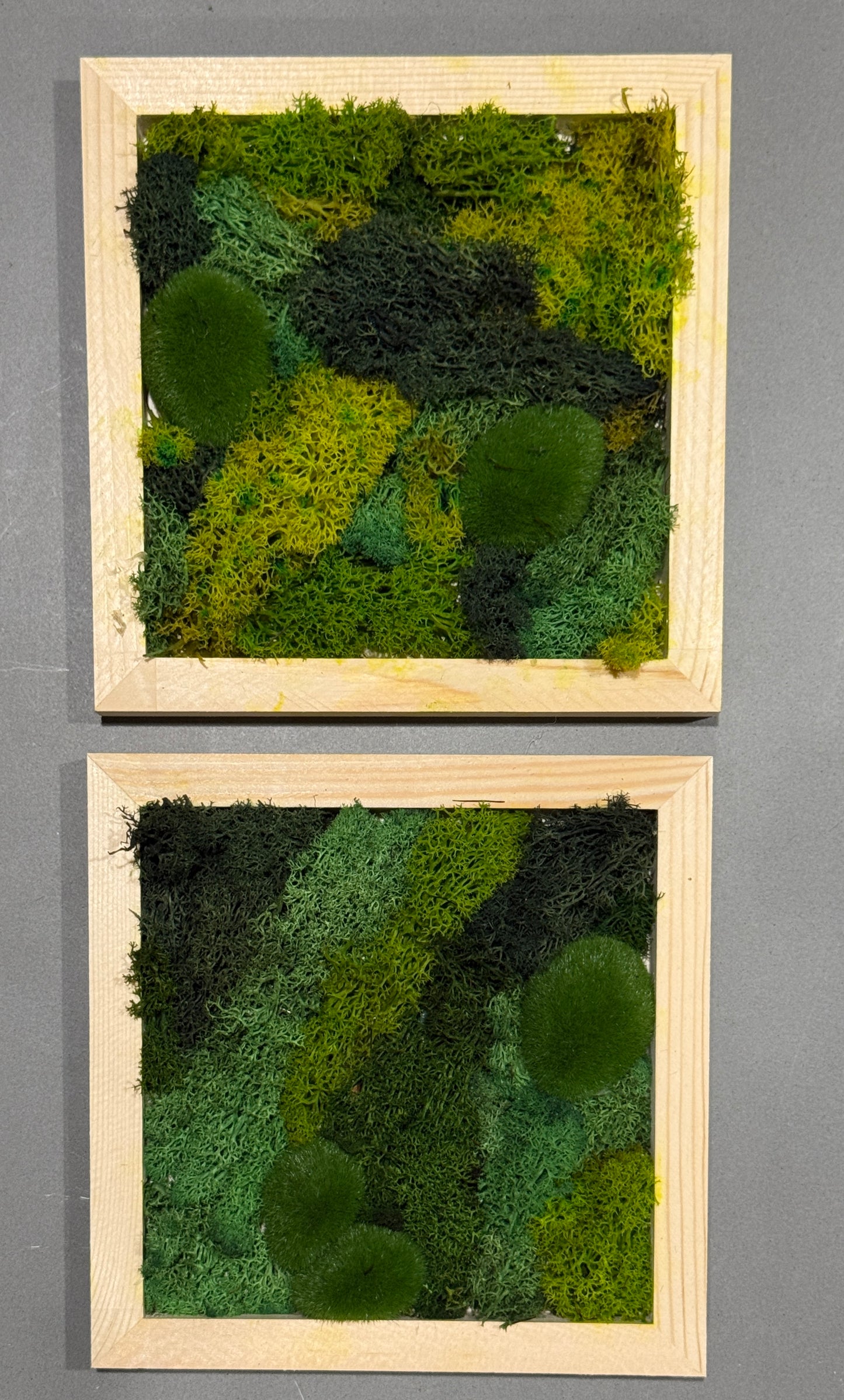 Moss Garden
