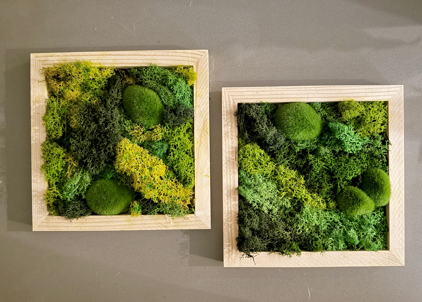 Moss Garden