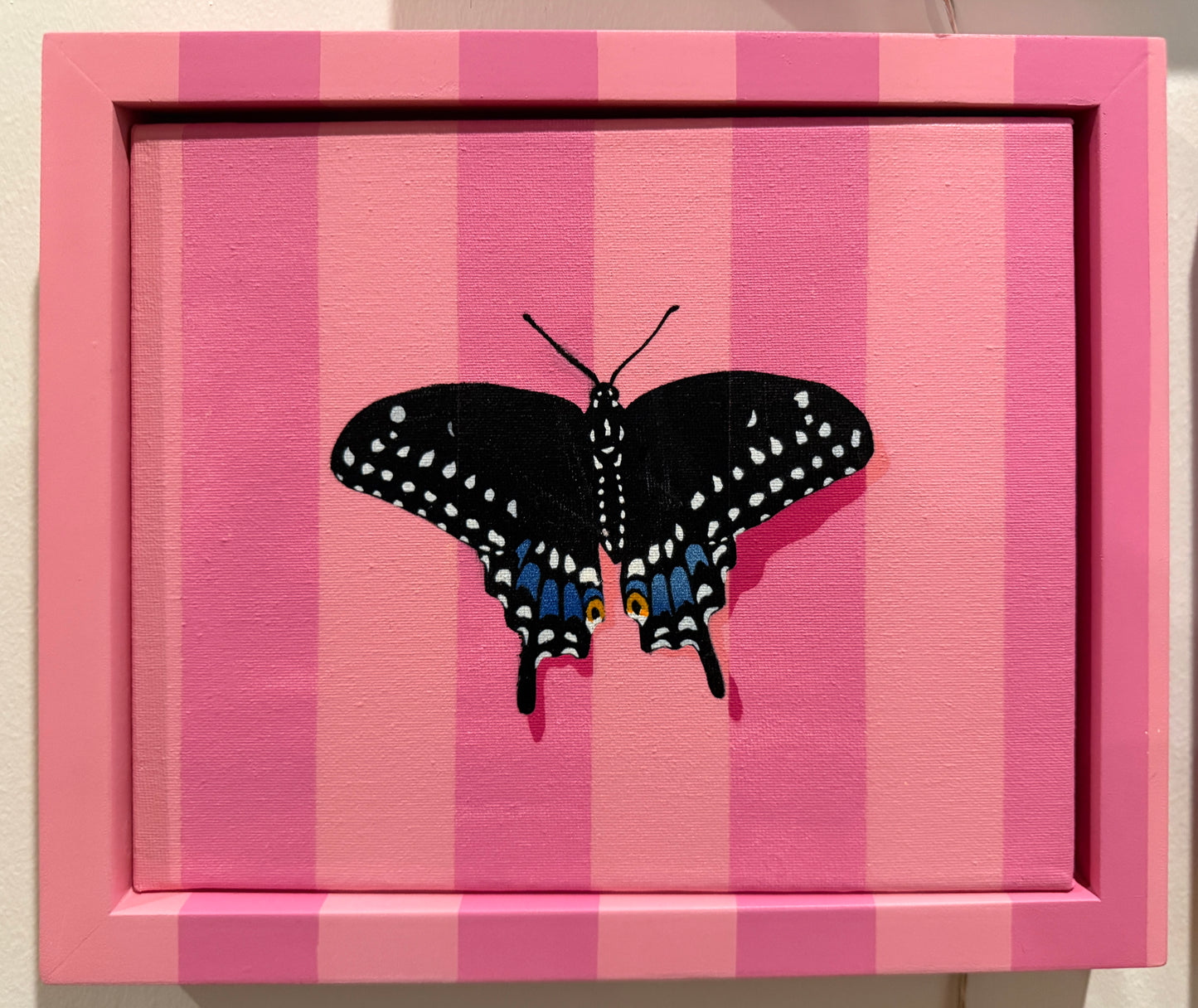 Black Swallowtail