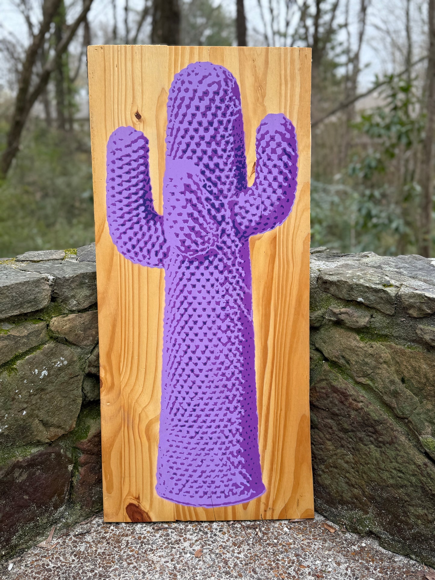 The Cactus on Wood