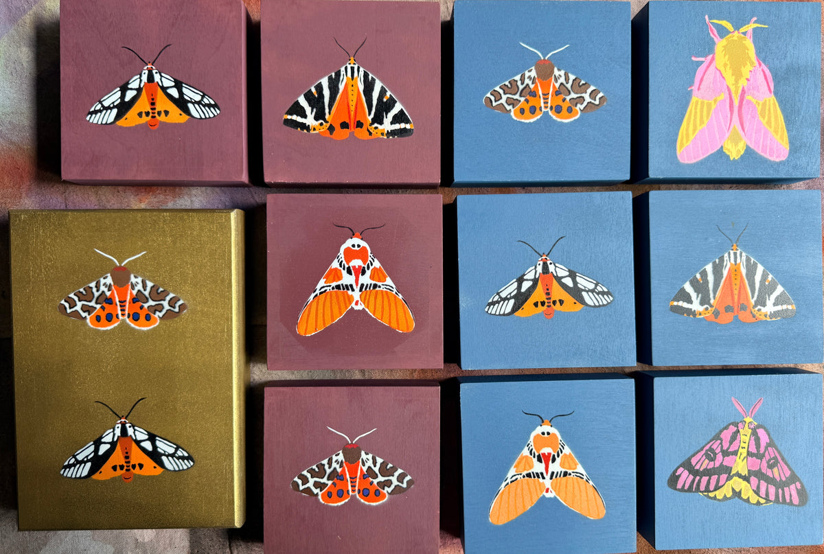 Moths