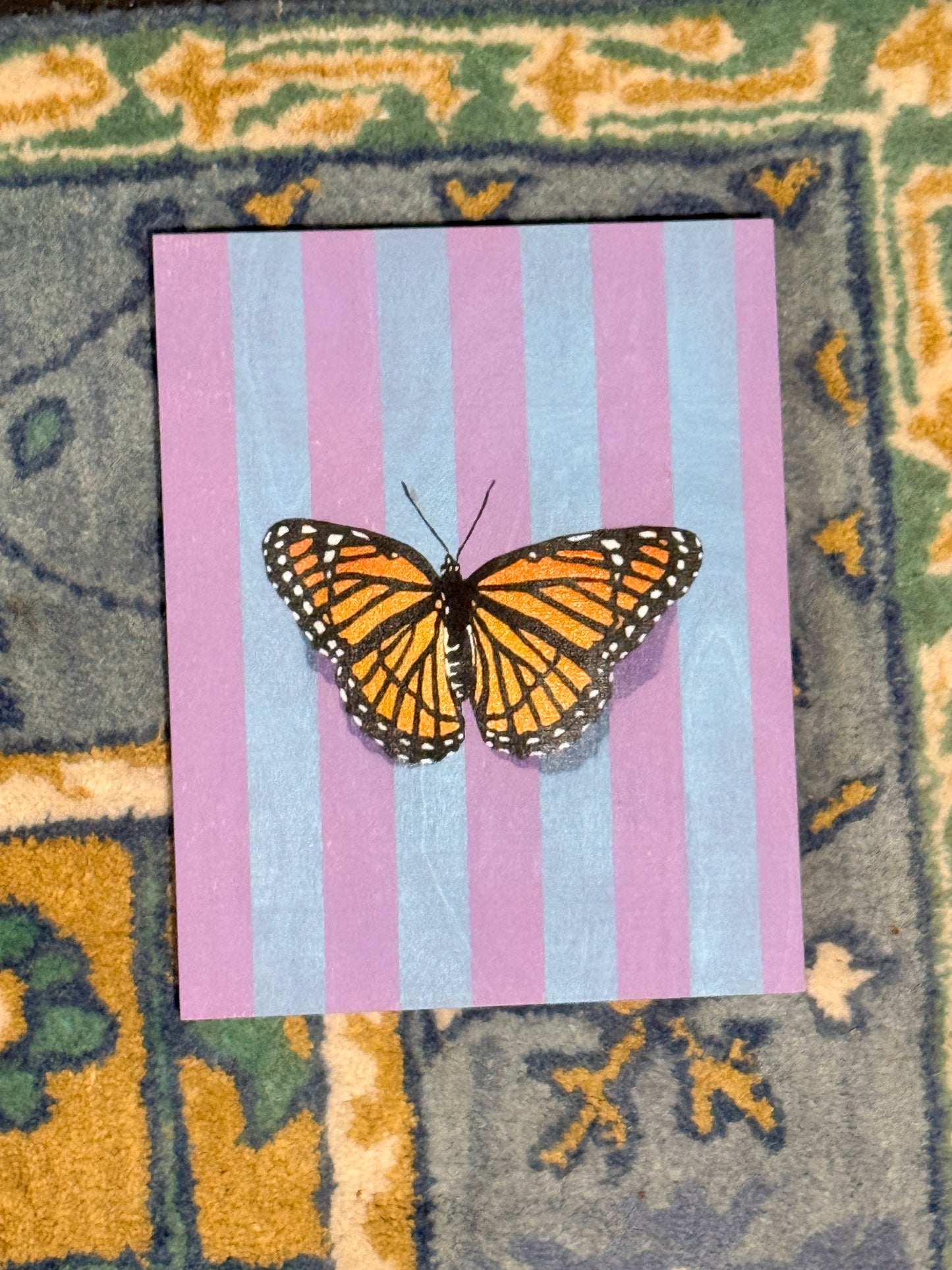 Viceroy (striped)