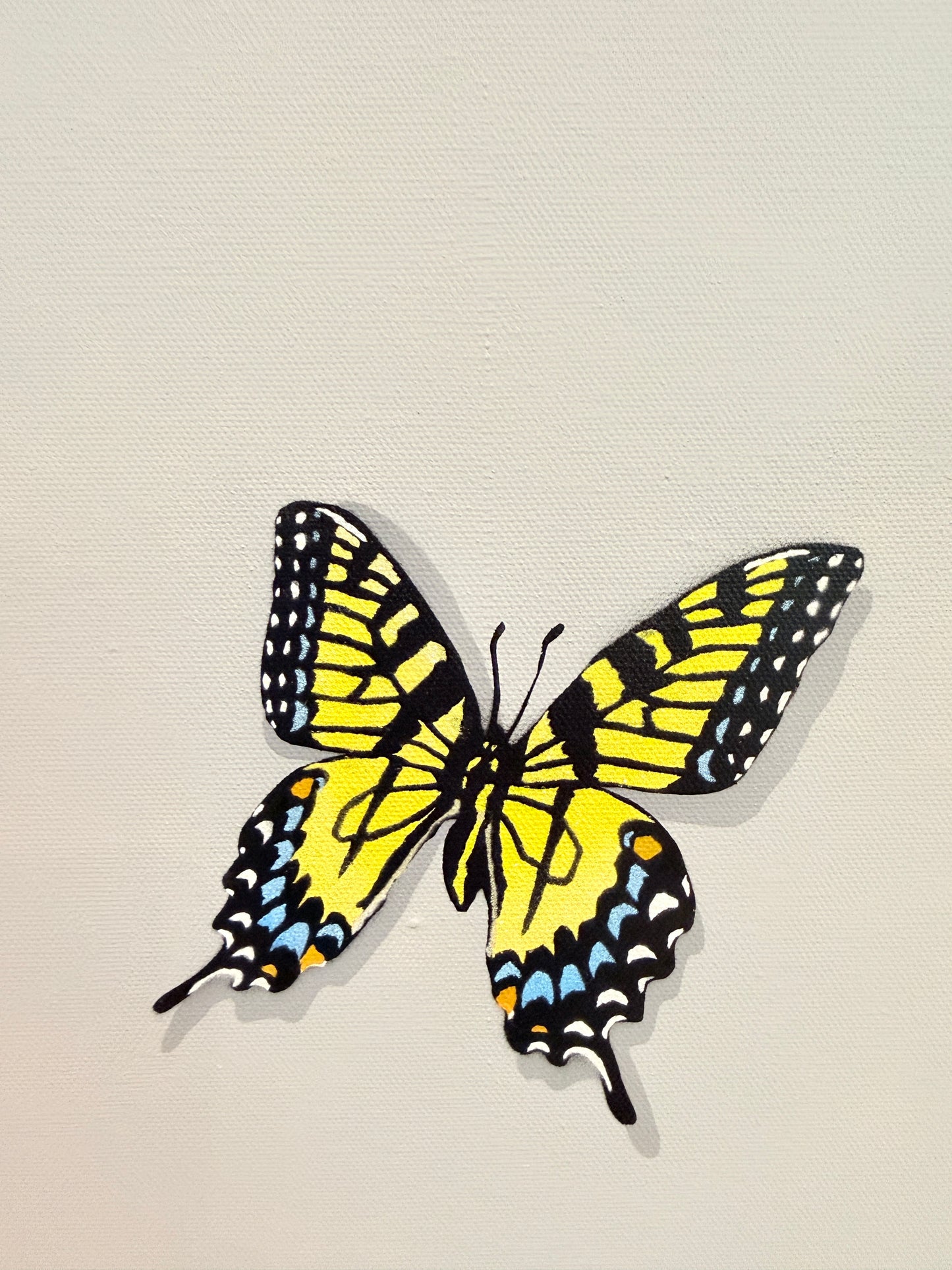 The Butterfly Collector