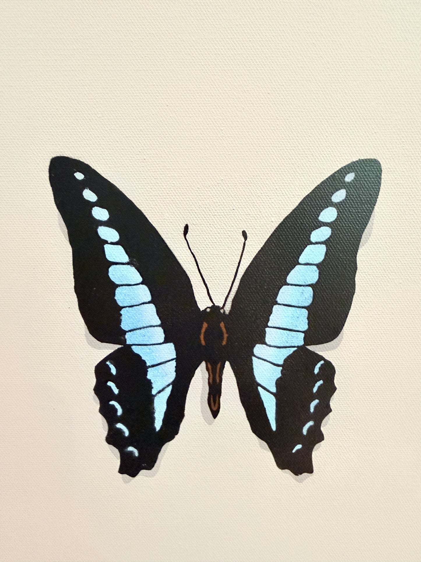 The Butterfly Collector