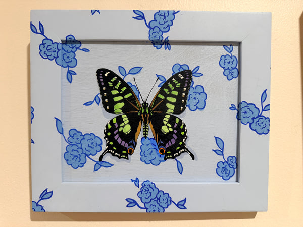 Tropical Swallowtail (Floral)