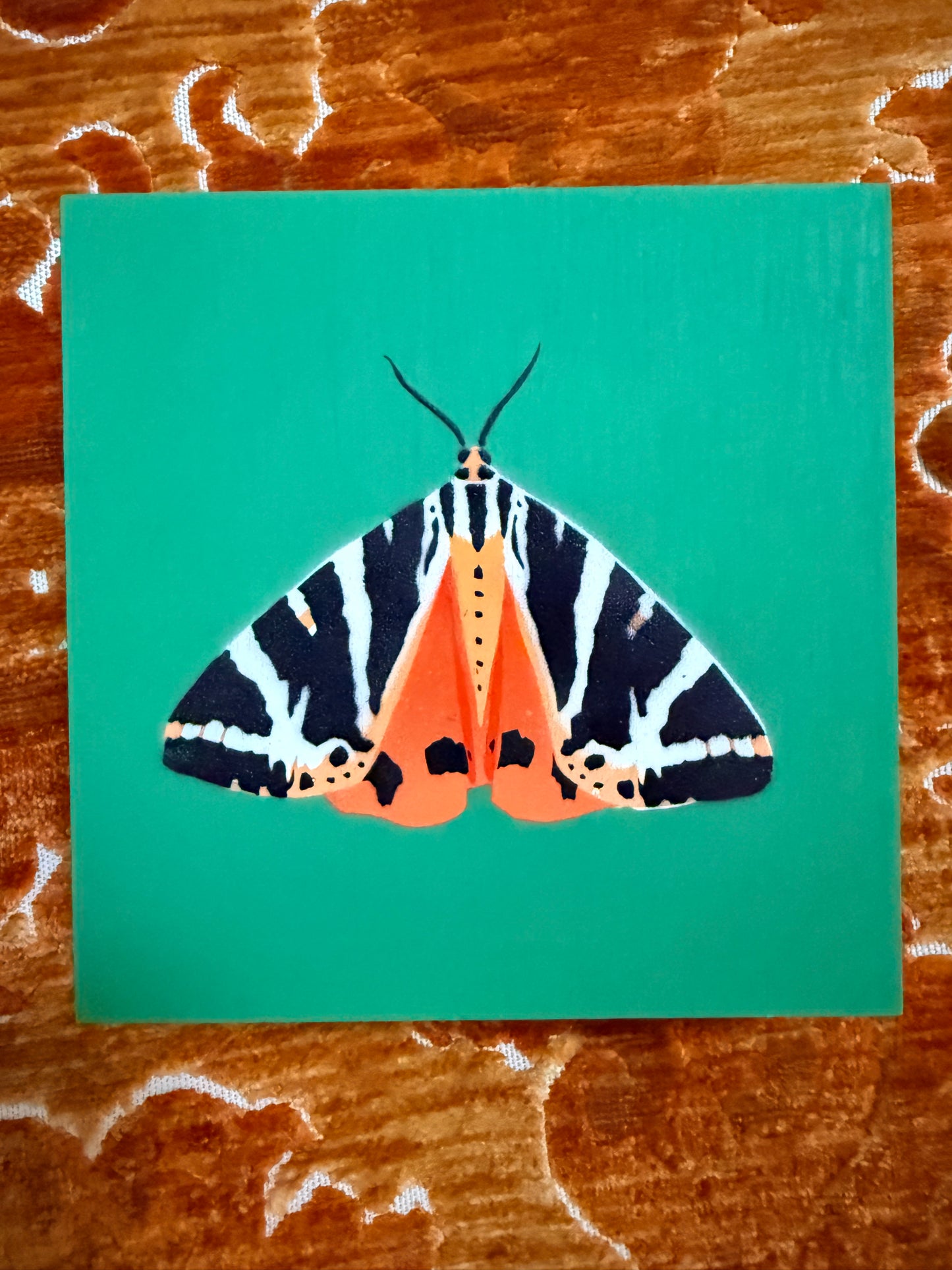 Jersey Tiger Moth