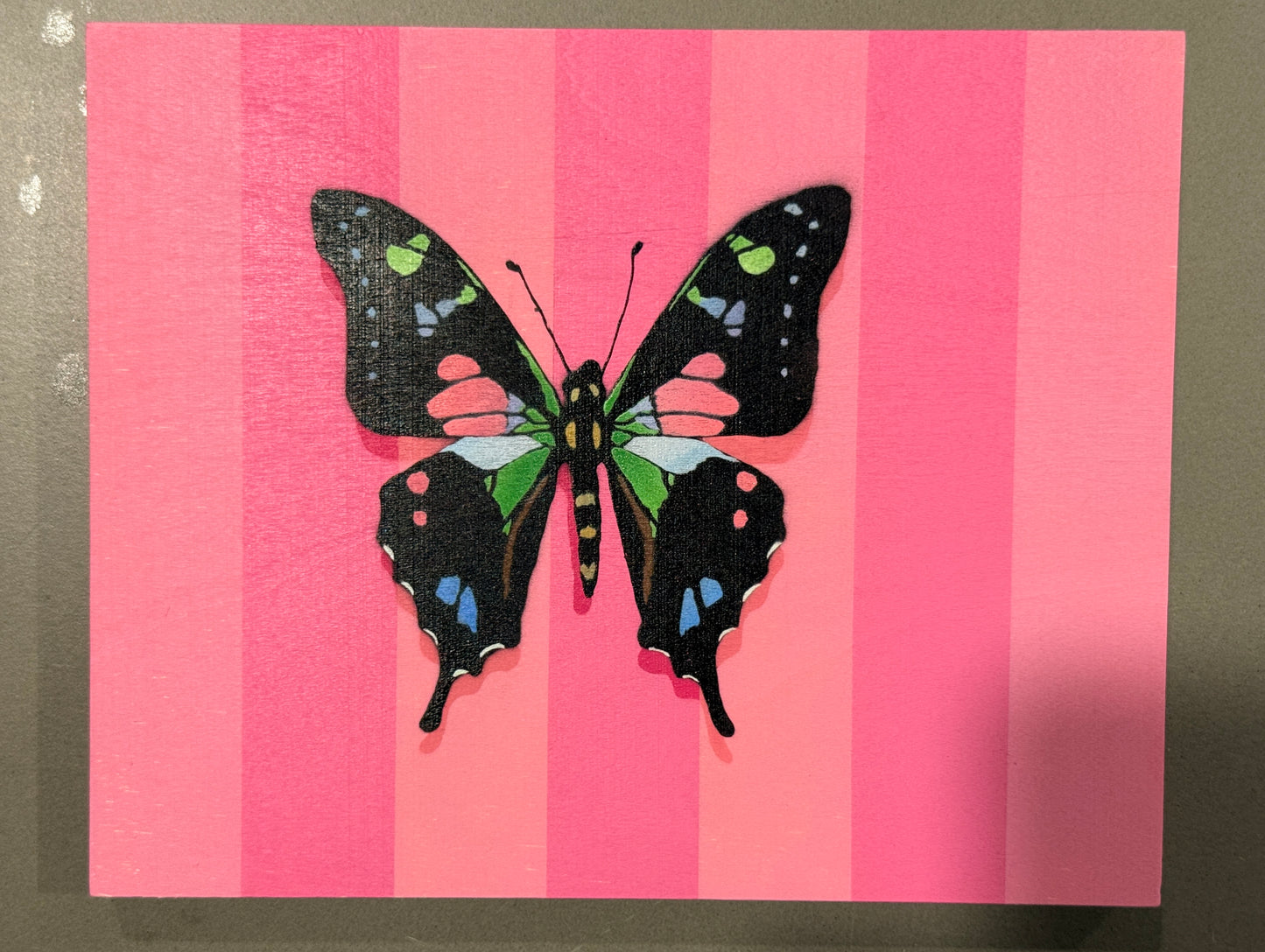 Graphium Weiskei (striped)