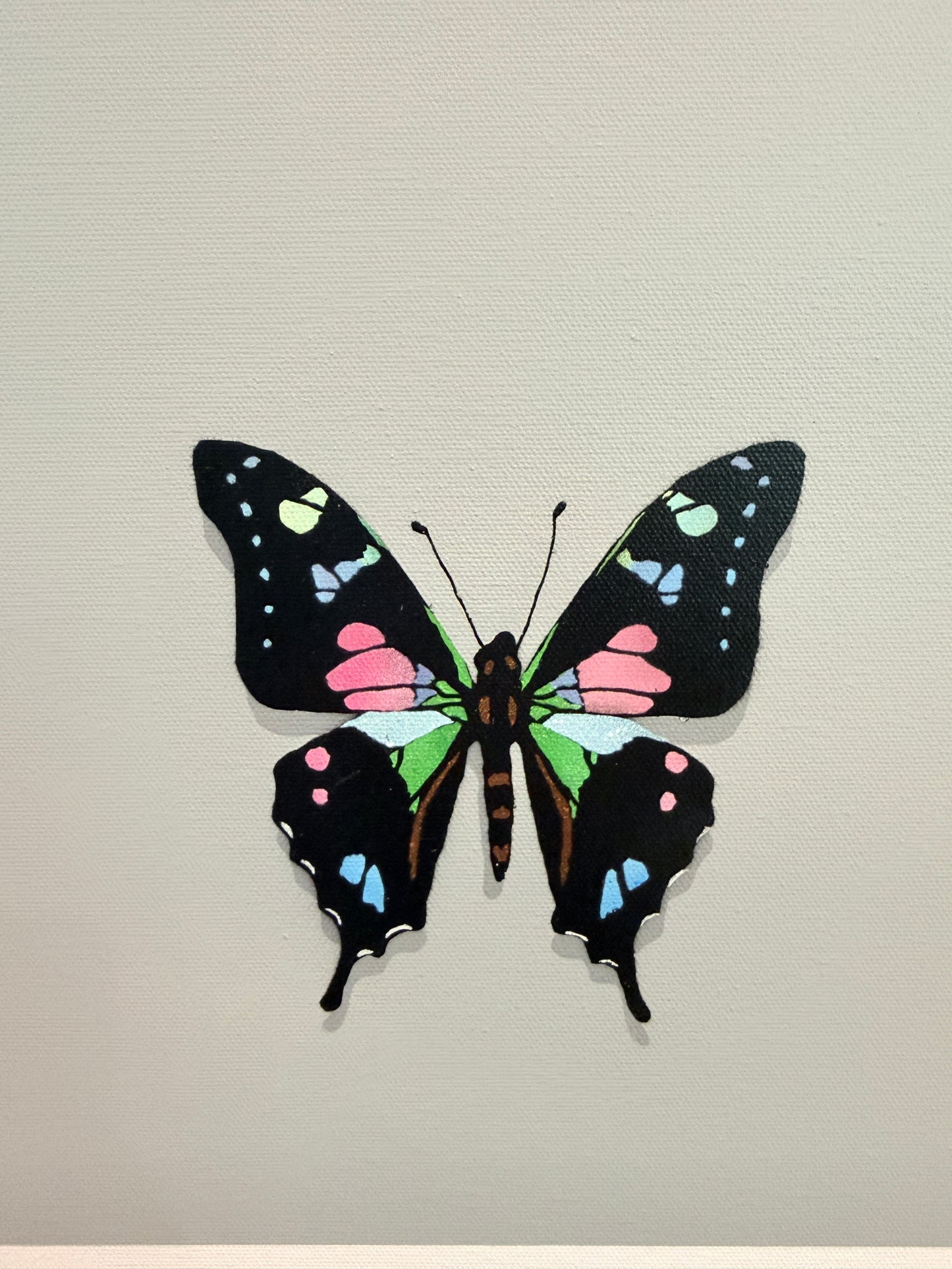 The Butterfly Collector