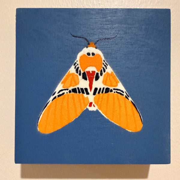 Clown Face Tiger Moth