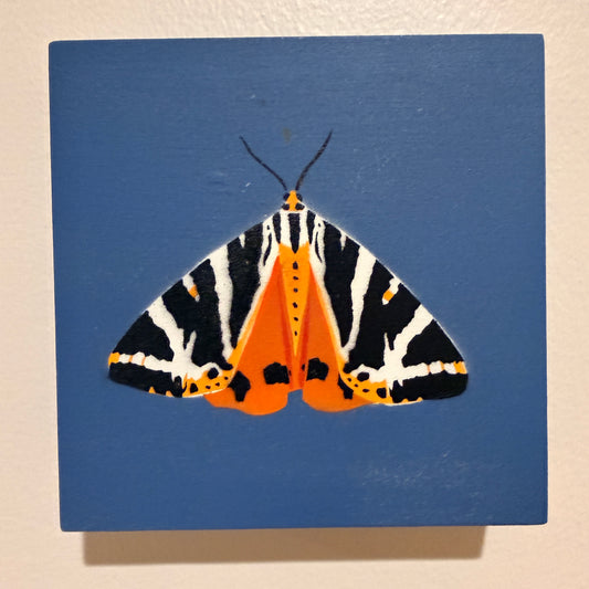 Jersey Tiger Moth