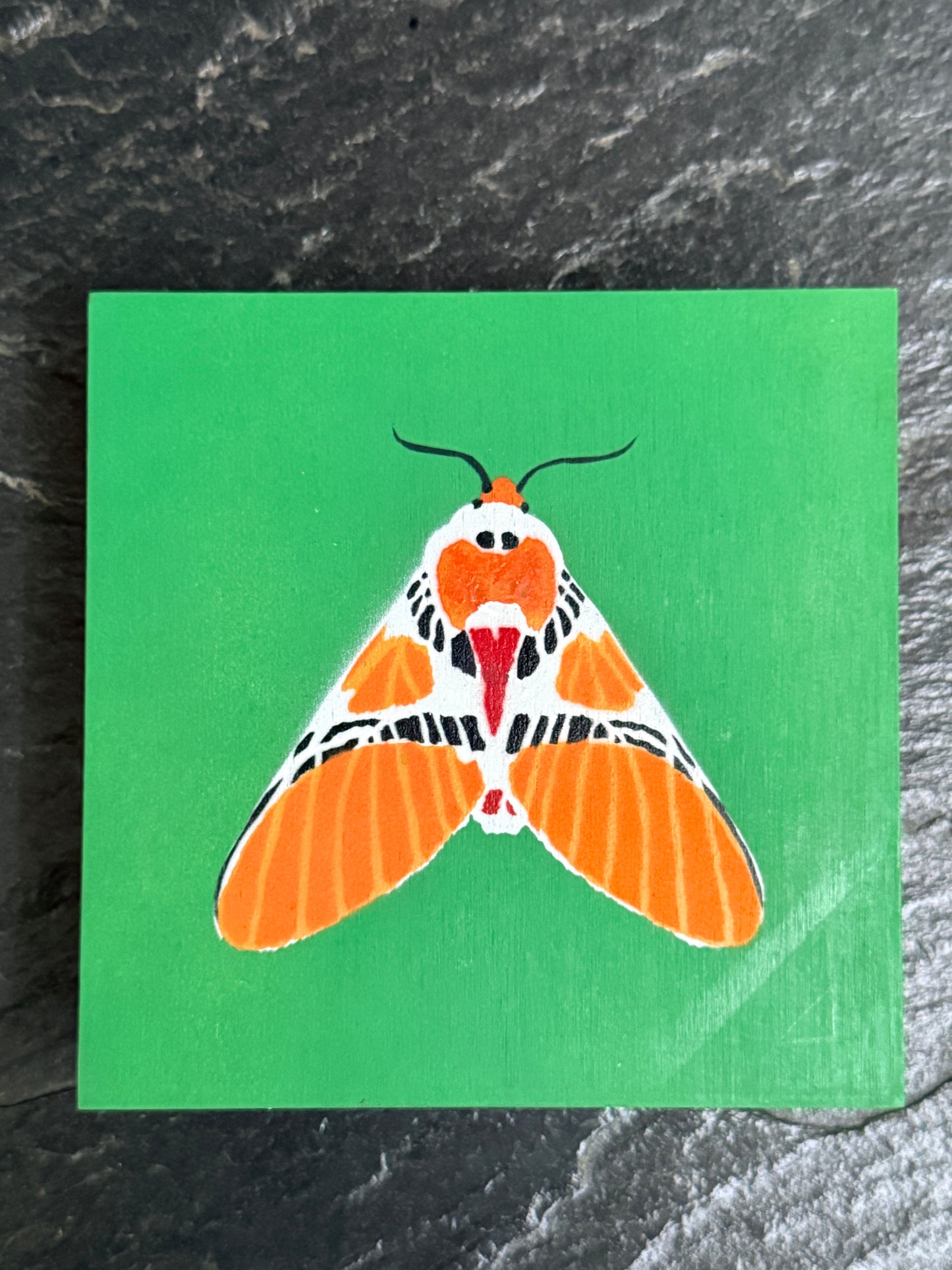 Clown Face Tiger Moth