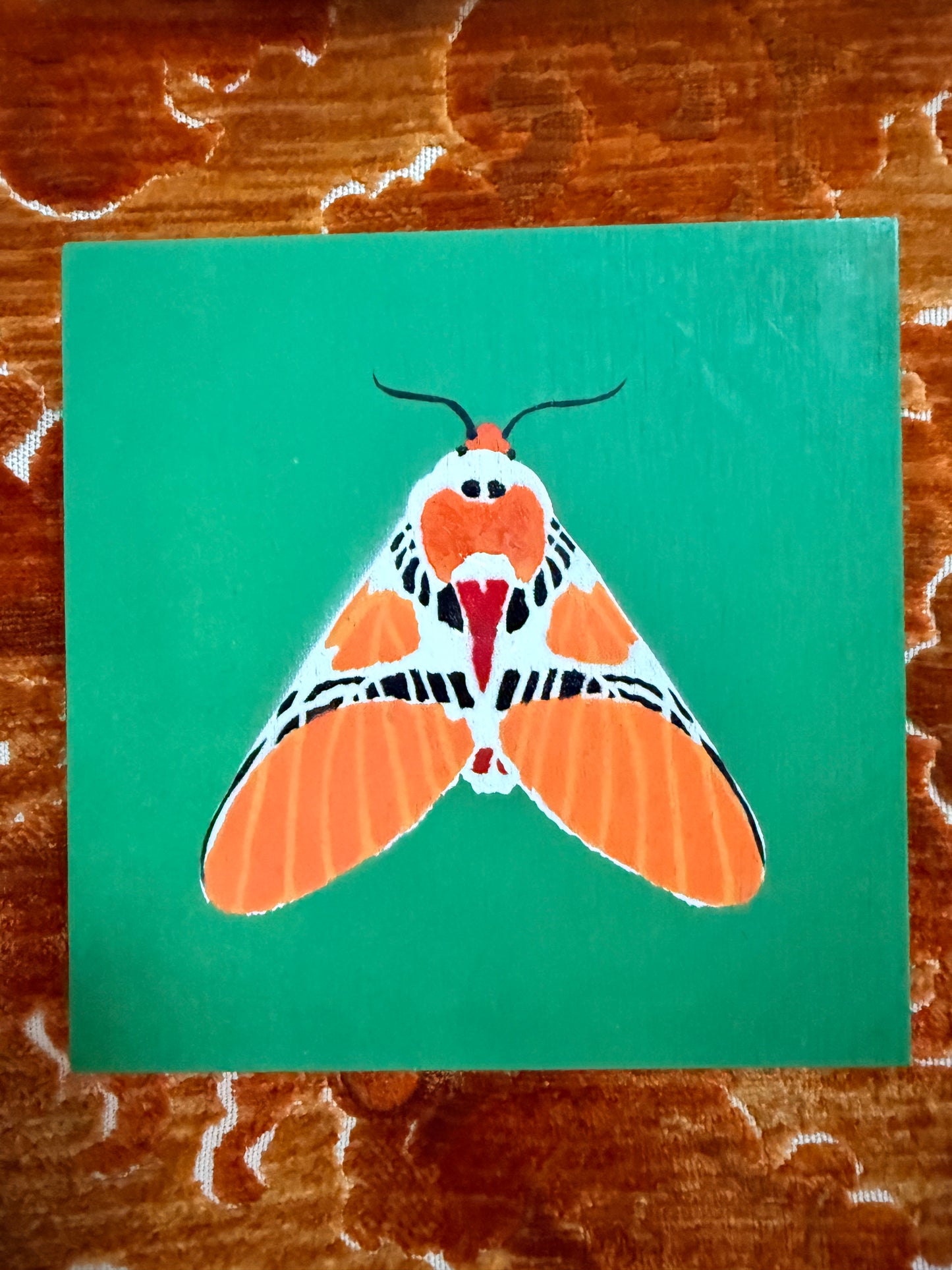 Clown Face Tiger Moth