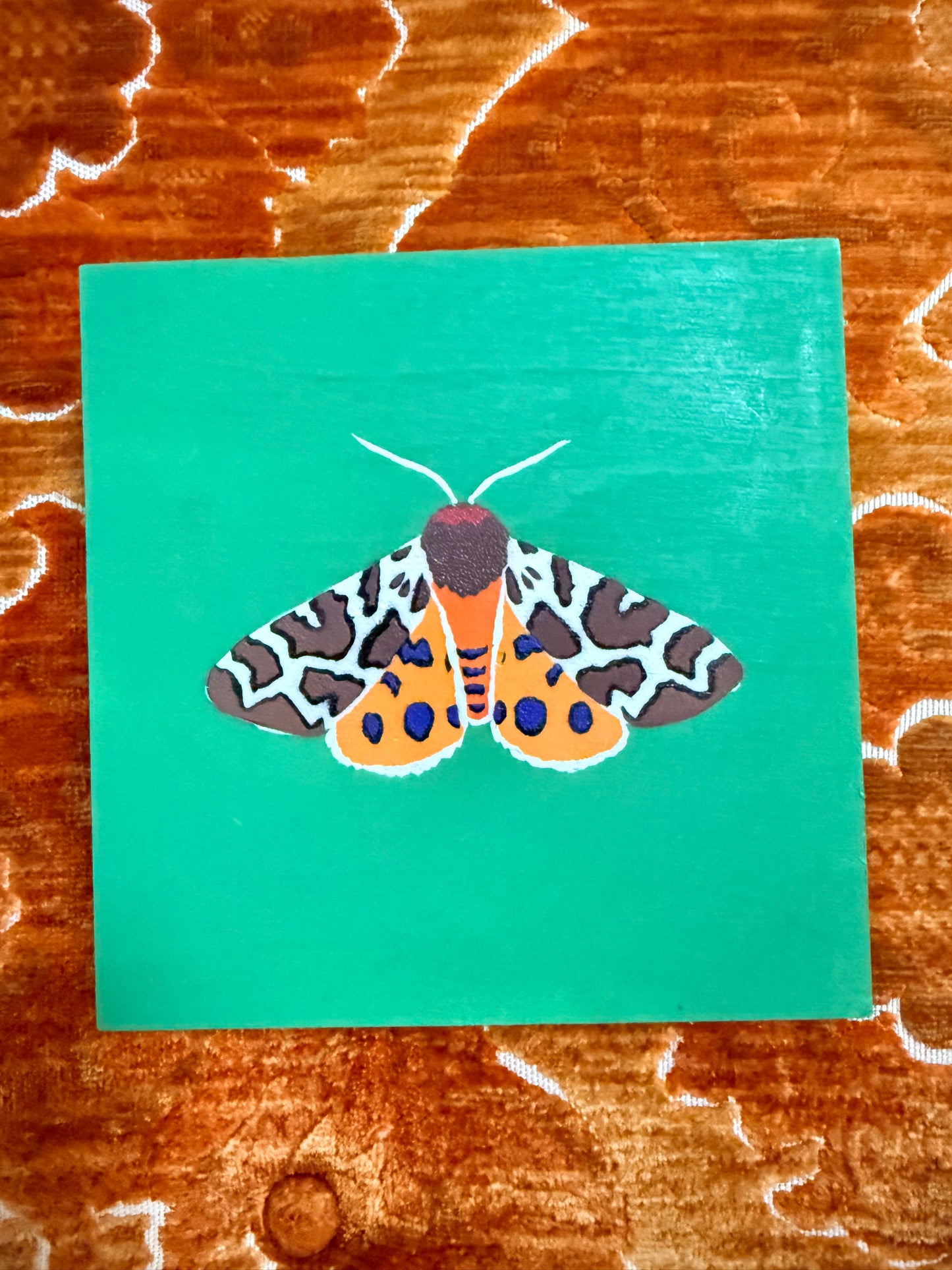Garden Tiger Moth