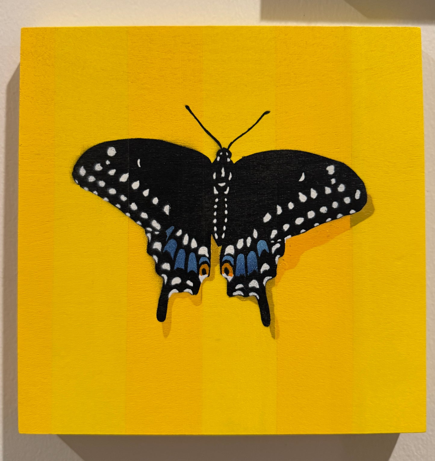 Butterfly Medley