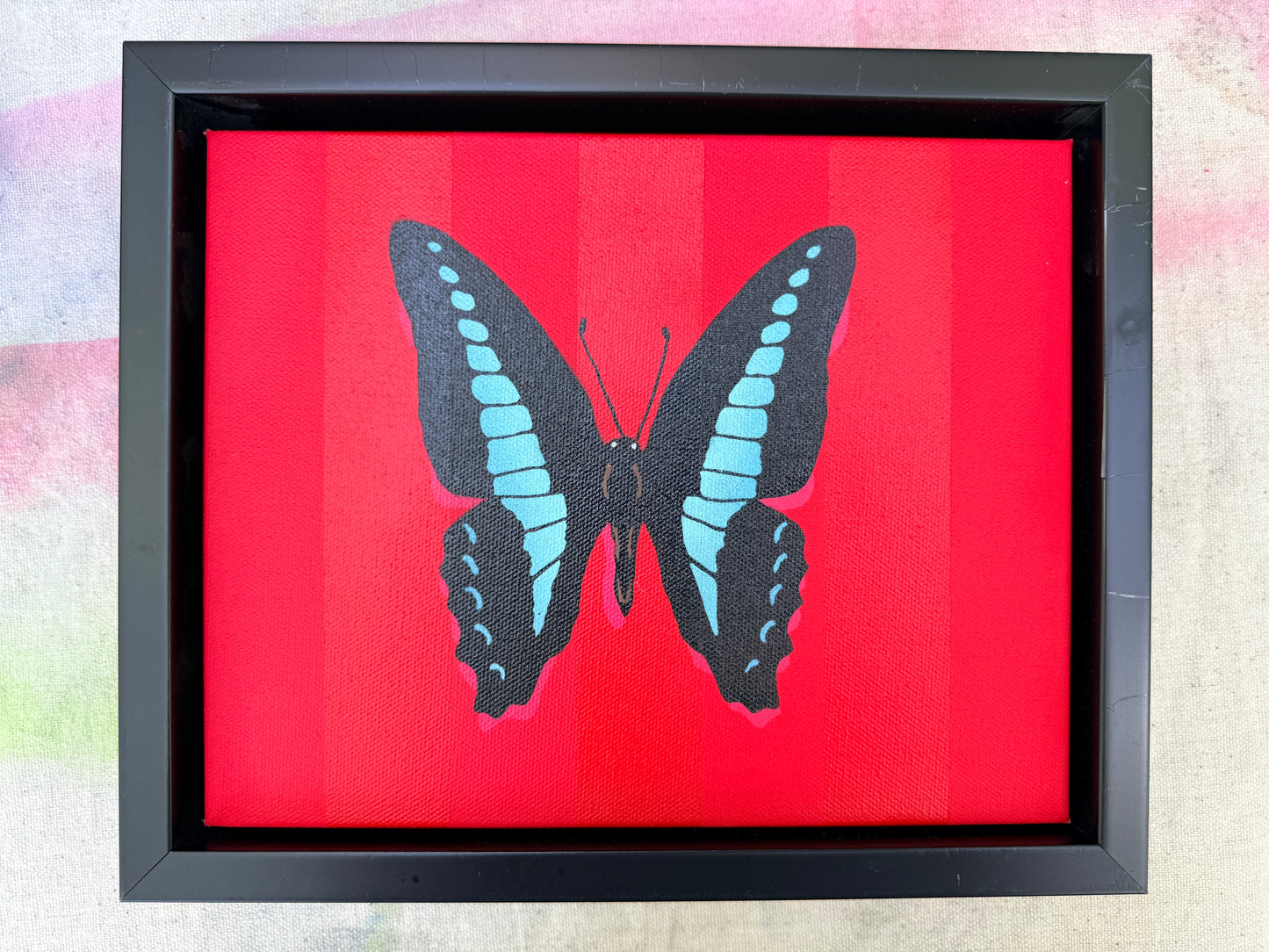 Blue Triangle Butterfly