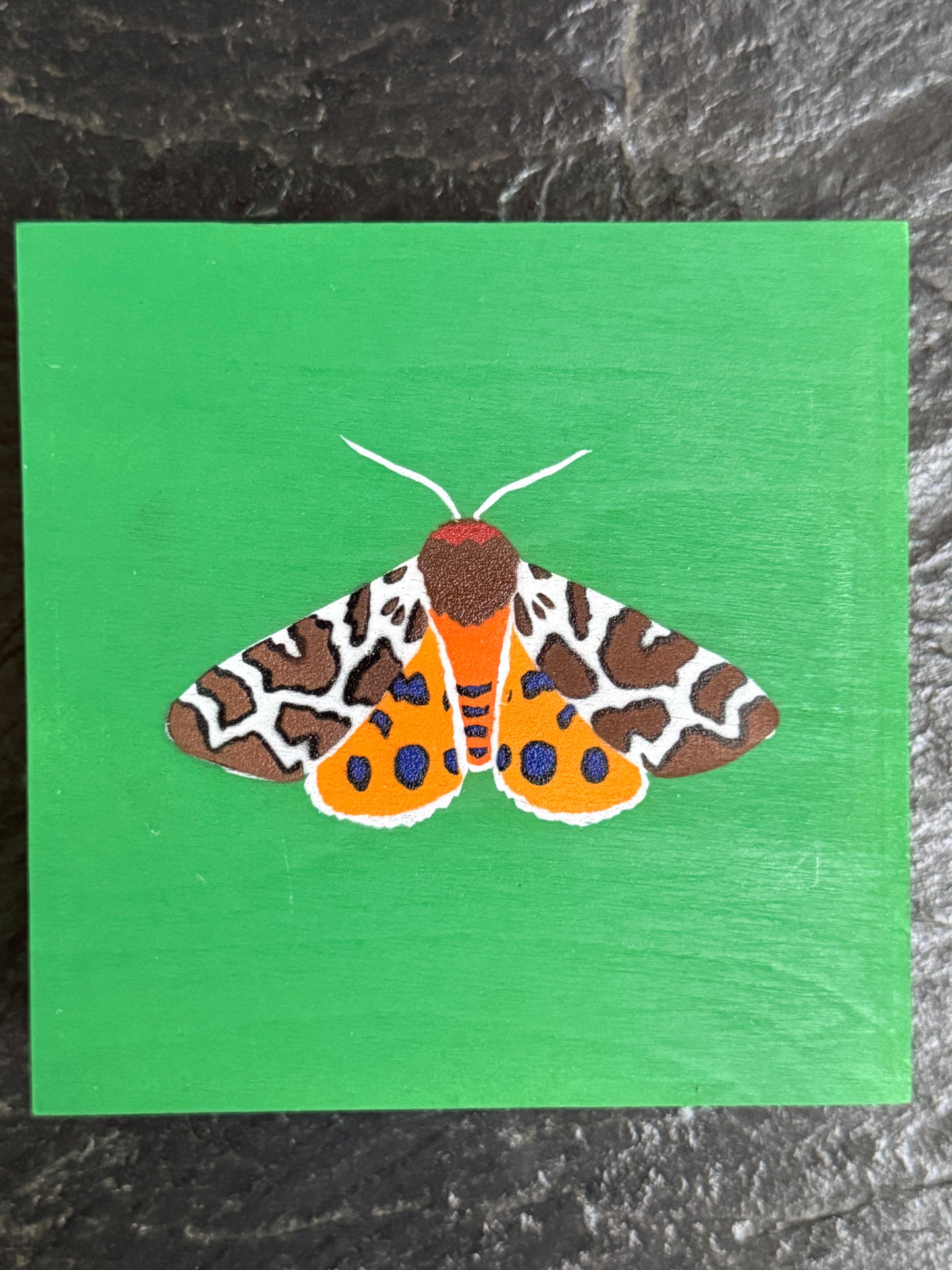 Garden Tiger Moth