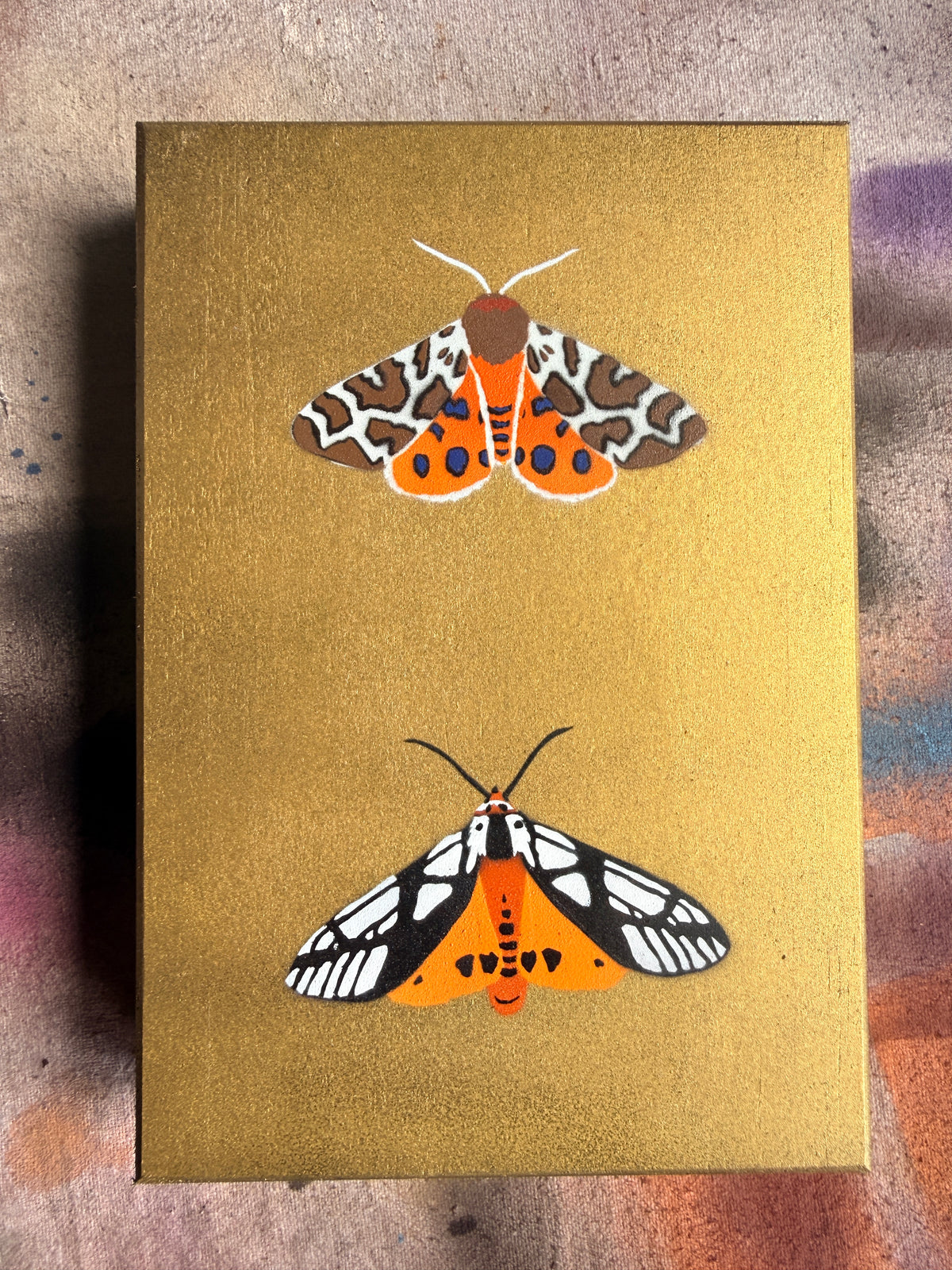 Gold Tiger Moths
