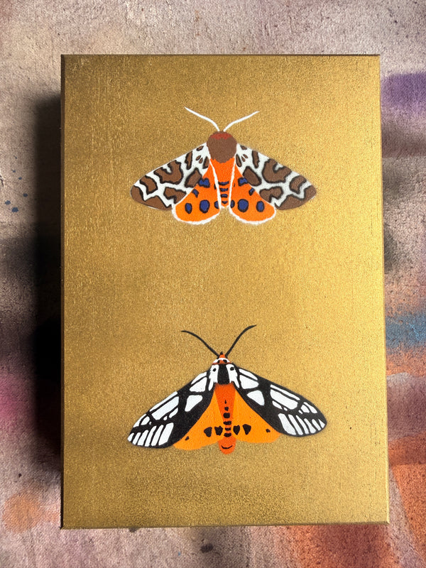 Gold Tiger Moths