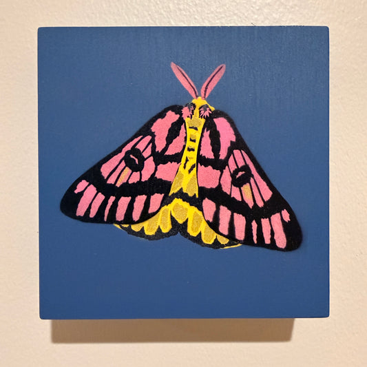 Sheep Moth