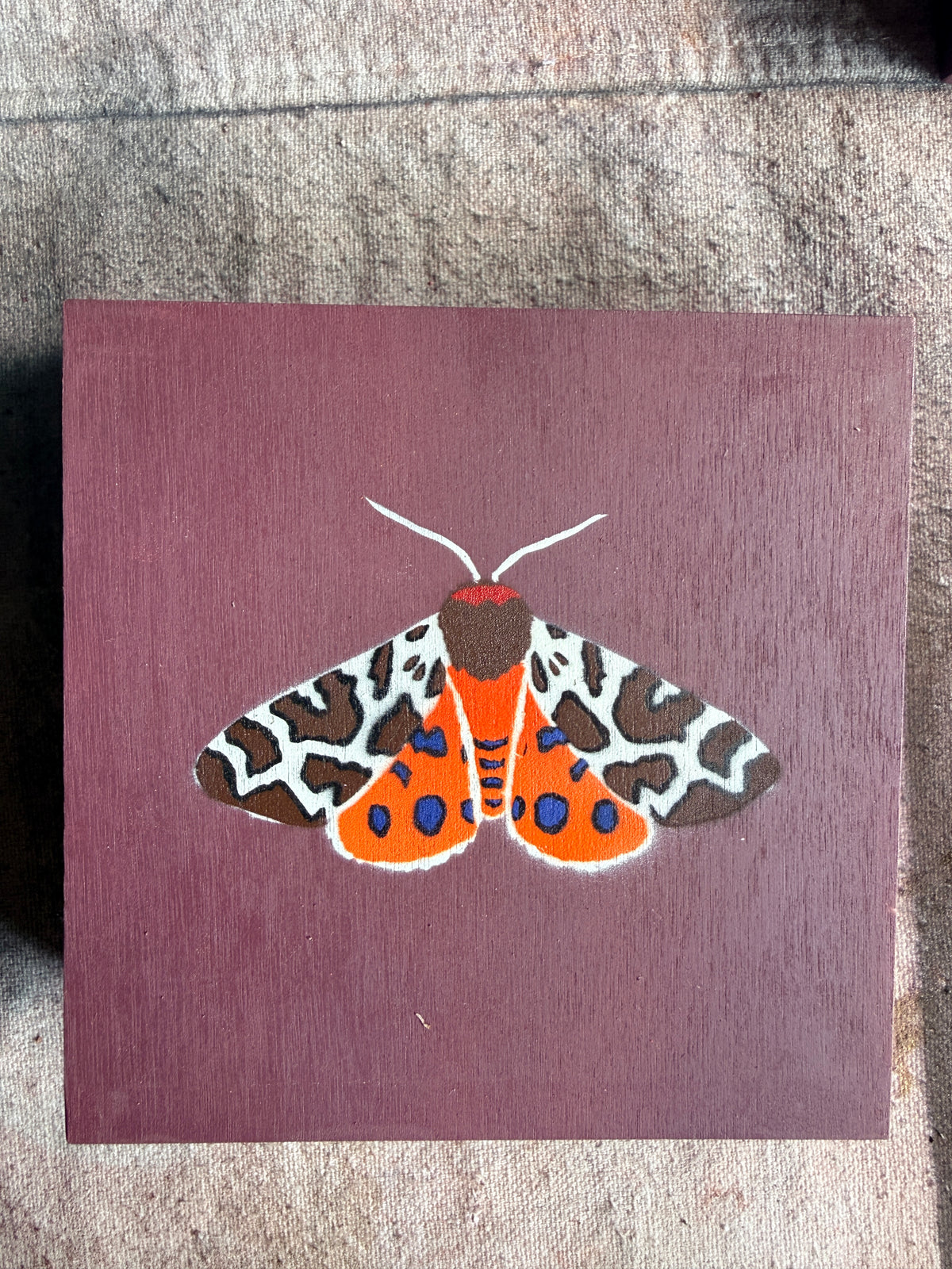 Garden Tiger Moth