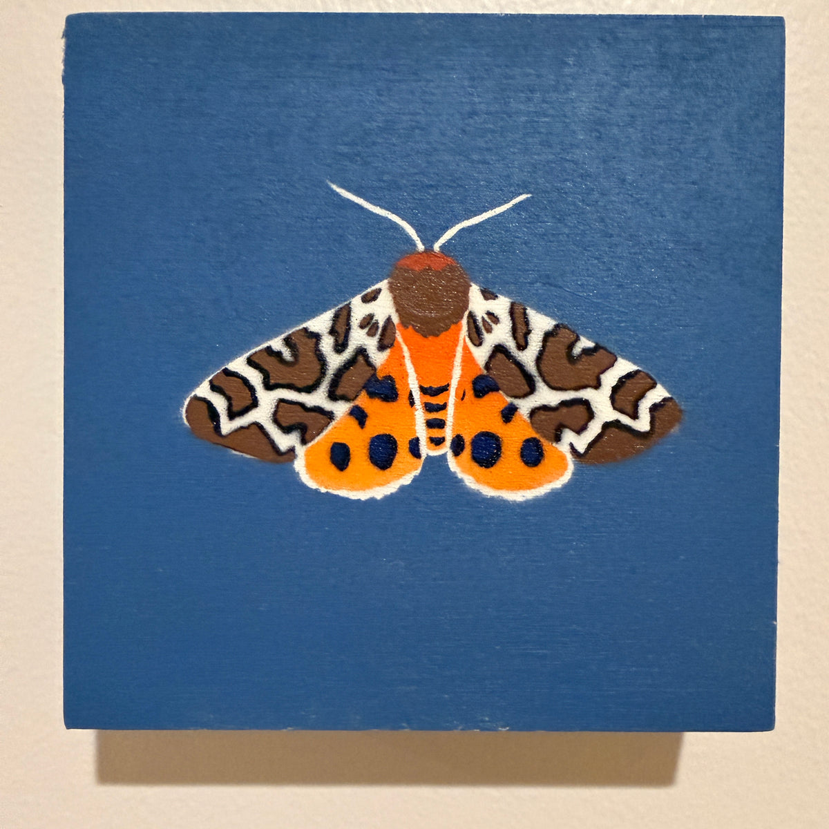 Garden Tiger Moth