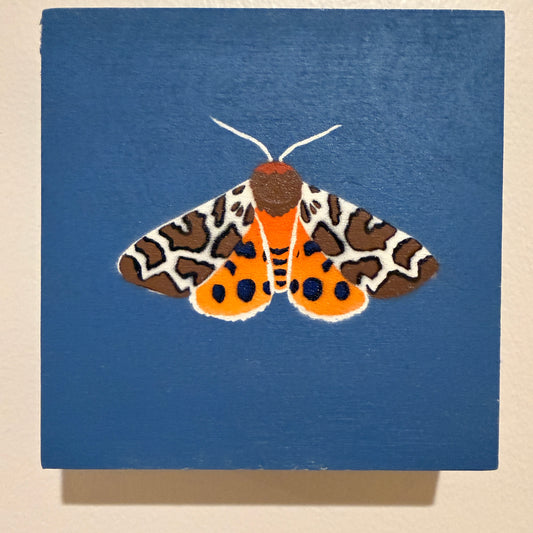 Garden Tiger Moth