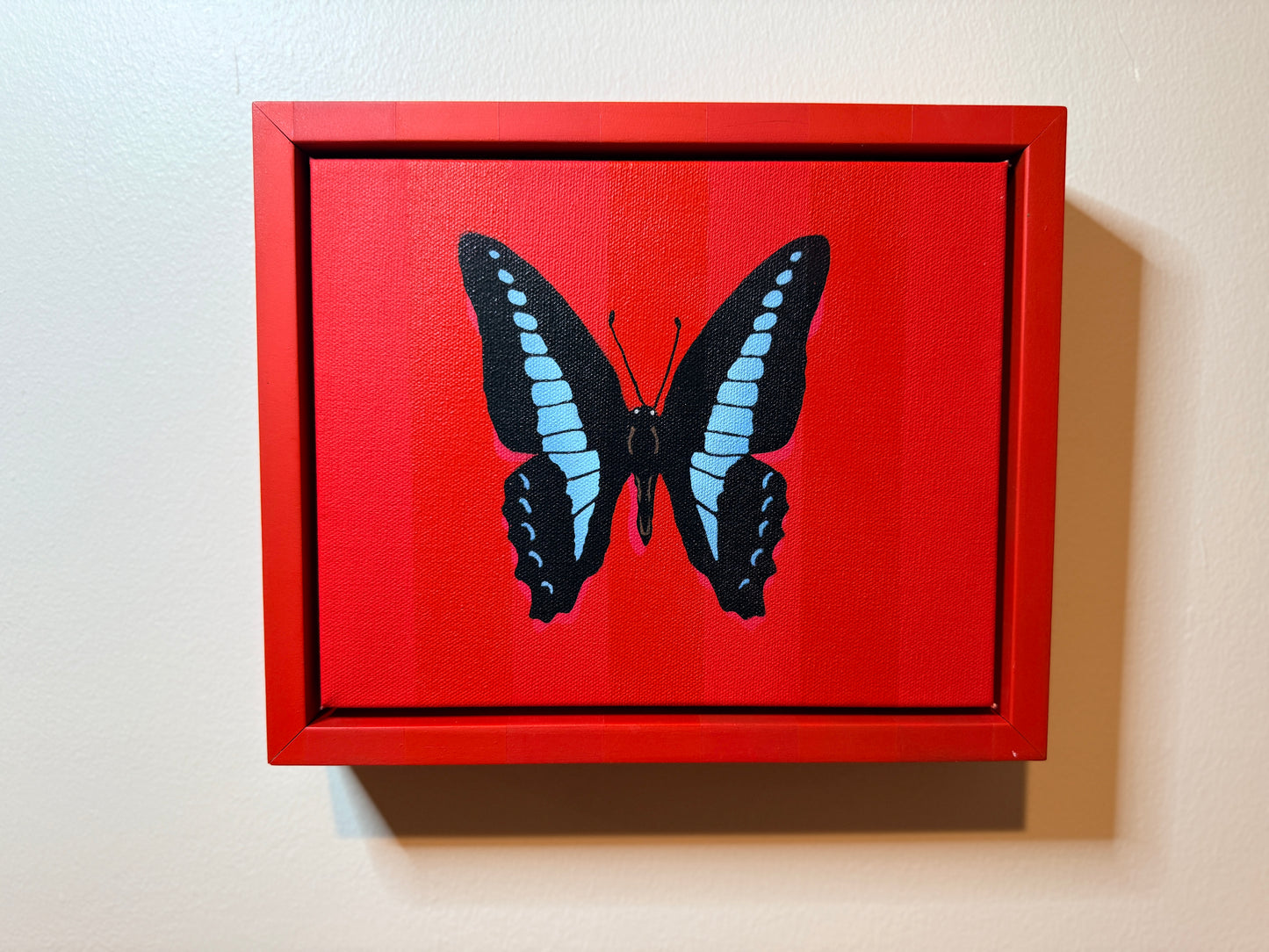 Blue Triangle Butterfly