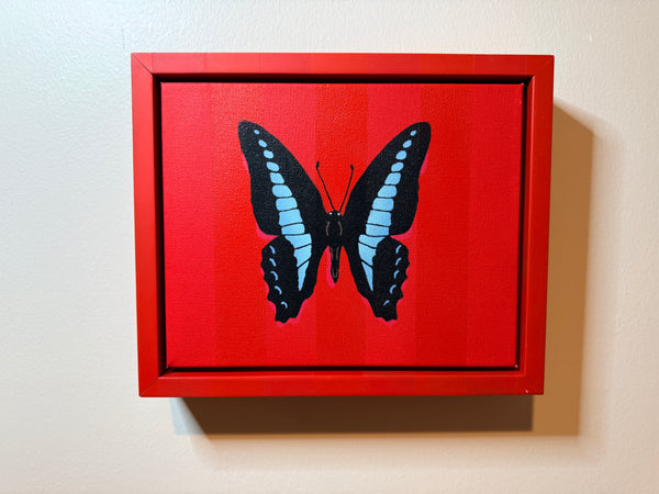 Blue Triangle Butterfly